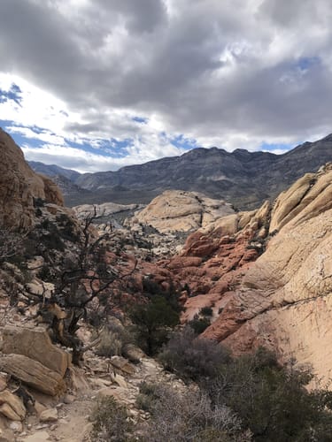 Best 10 Trails In Red Rock Canyon National Conservation Area Alltrails