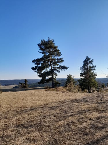 Kleine Runde in Egenhausen