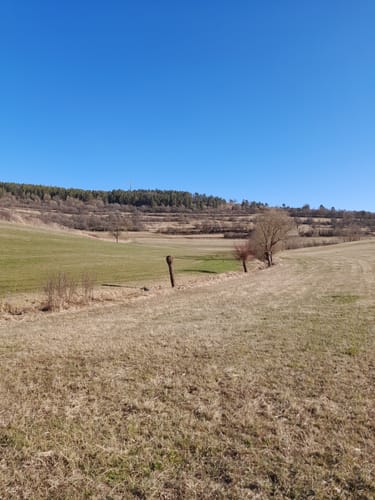 Kleine Runde in Egenhausen