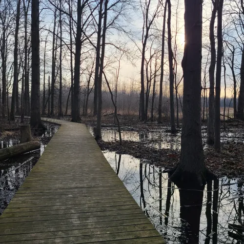 Best Hikes and Trails in Bradner Preserve AllTrails