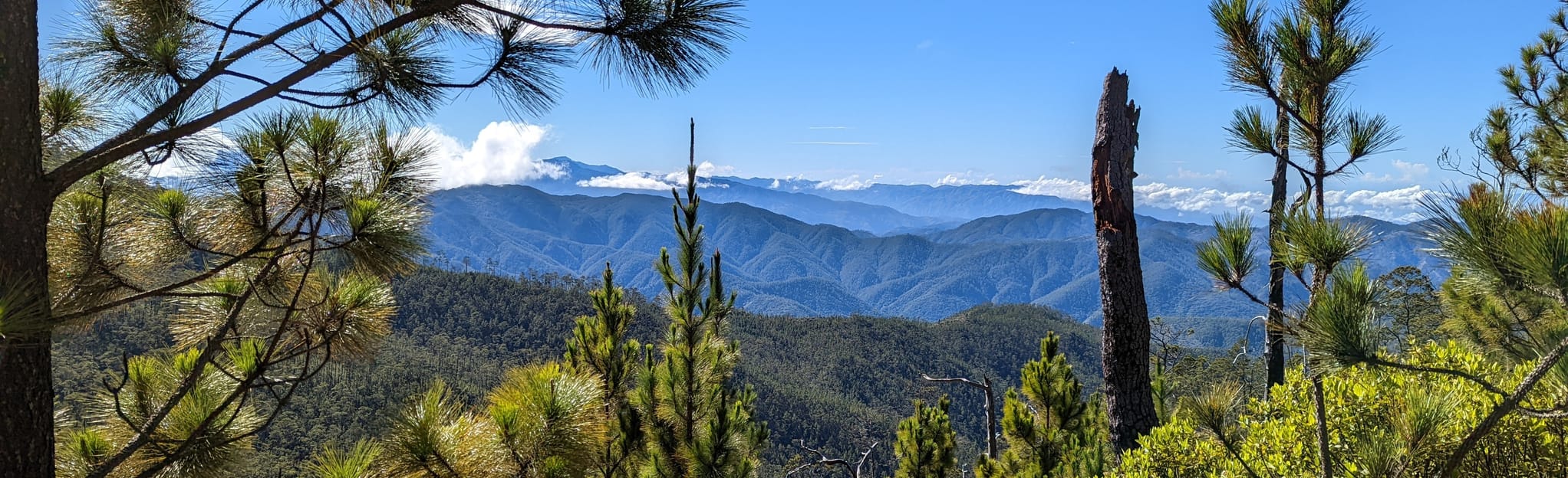 La Cienega Pico Duarte La Vega, Dominican Republic AllTrails