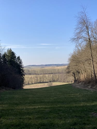 Hexen, Henker und Halunken-Tour