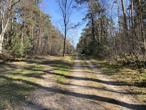 Naturschutzgebiet Schlucht ab Kreuzmönchdorf