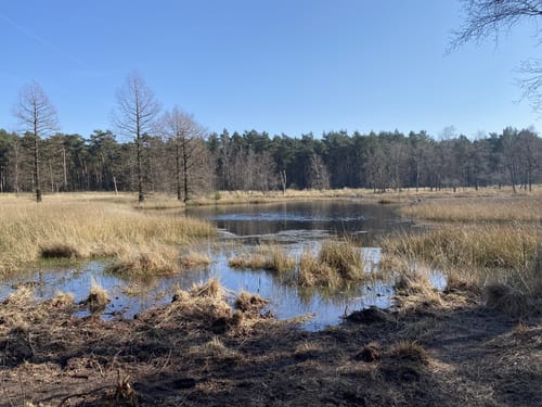 Naturschutzgebiet Schlucht ab Kreuzmönchdorf