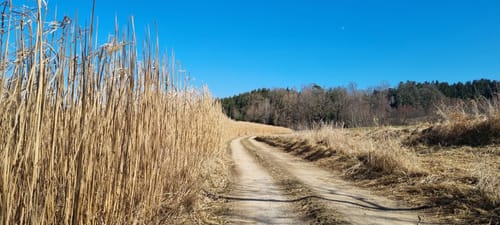 Rundweg: Buch - Thann - Westendorf