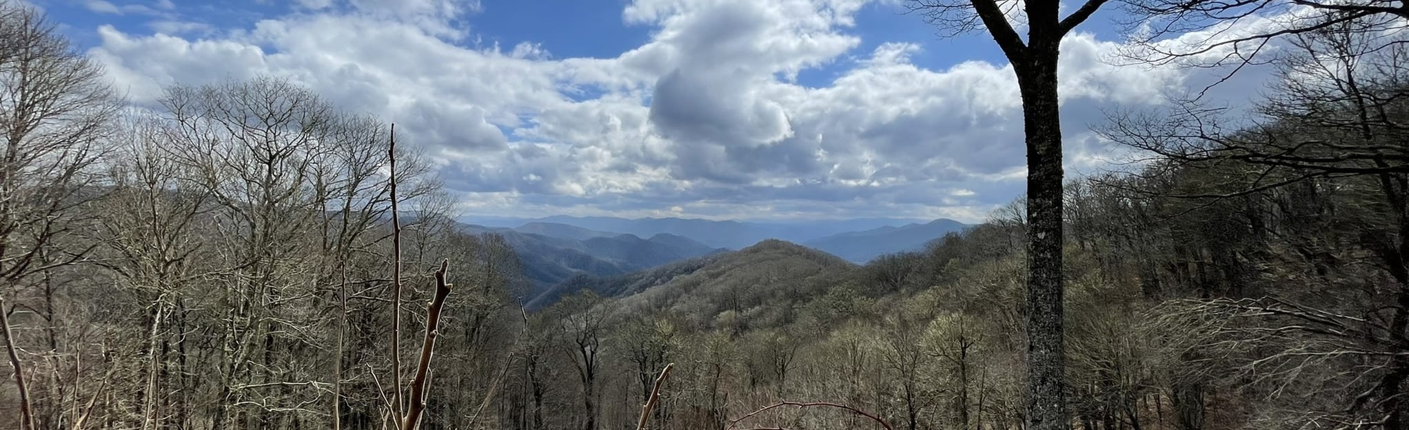 Swinging Bridge Quiet Walkway: 25 Reviews, Map - North Carolina | AllTrails