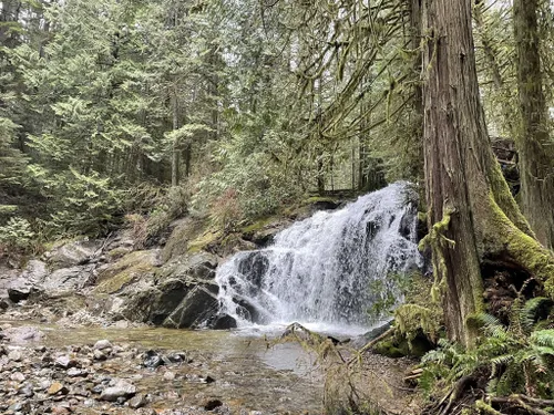 Find the Best Hiking in Half Moon Bay: 11 Trails for all Levels