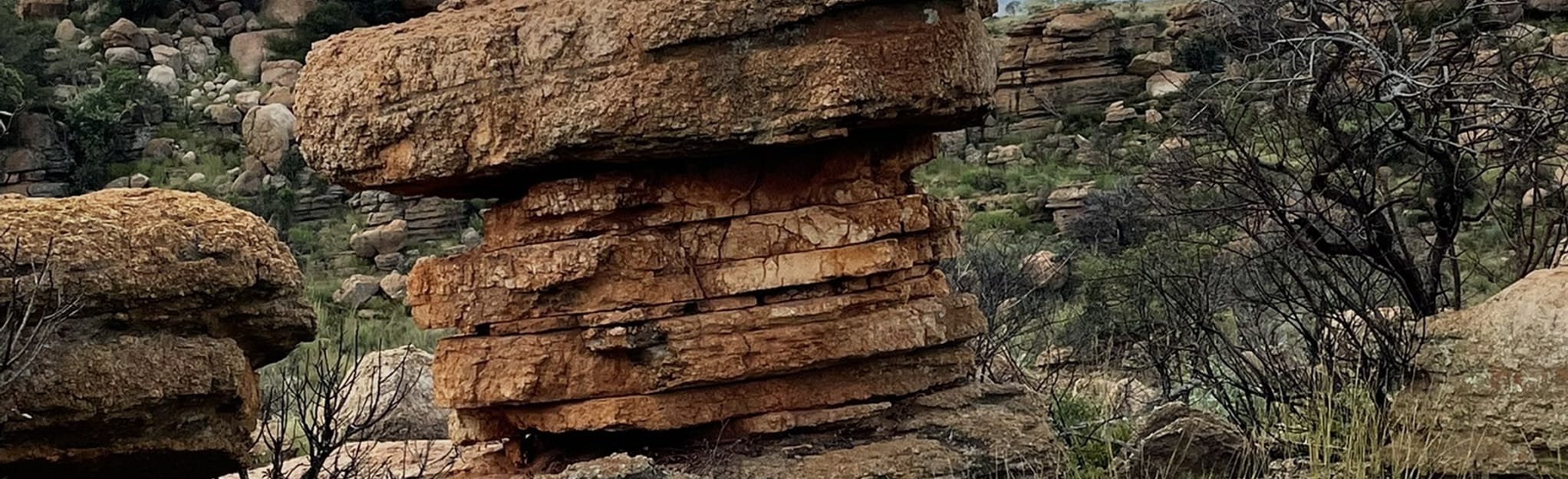 Eagle Cove Hiking Trails, 21 Fotos - Nordwest, Südafrika | AllTrails