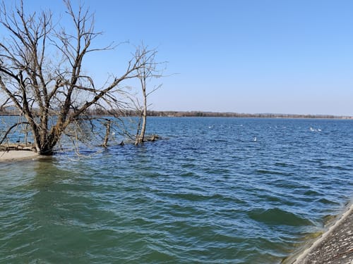 Moosburger Stausee Rundweg