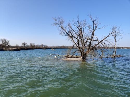 Moosburger Stausee Rundweg