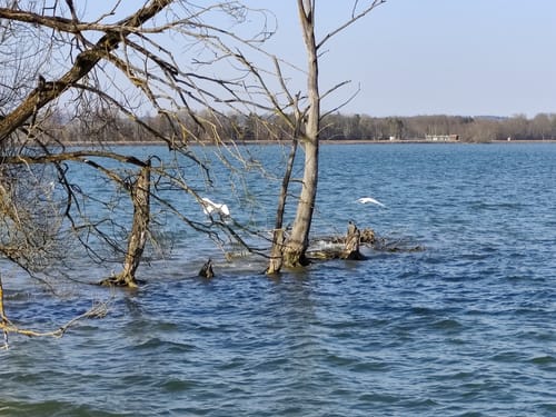 Moosburger Stausee Rundweg