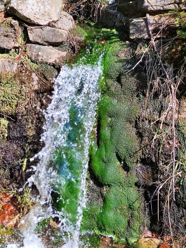 Kaufunger Wald: Rundweg Prinzenborn