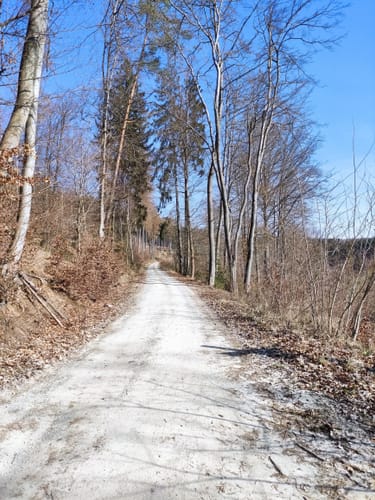 Kaufunger Wald: Rundweg Prinzenborn