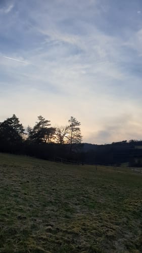 Dernbachwiesen (Extratour)