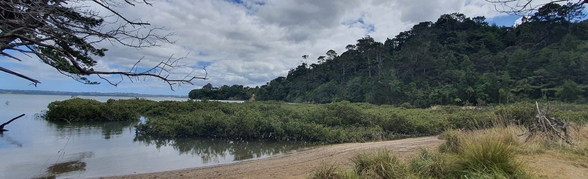 Kauri Point Domain Path 27 Reviews, Map Auckland, New Zealand