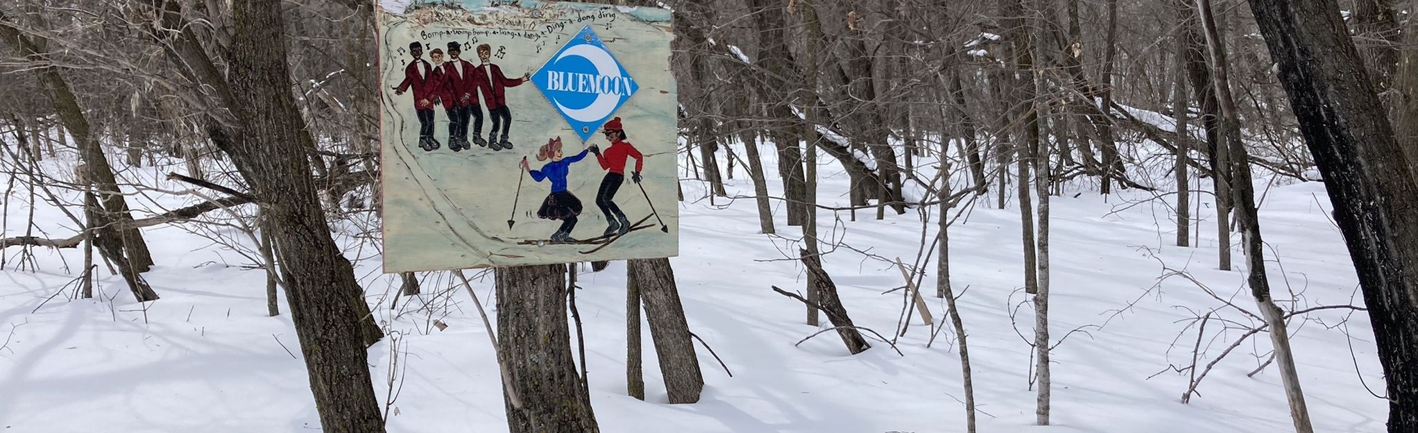 Bluemoon Trail : 8 photos - Manitoba, Canada | AllTrails