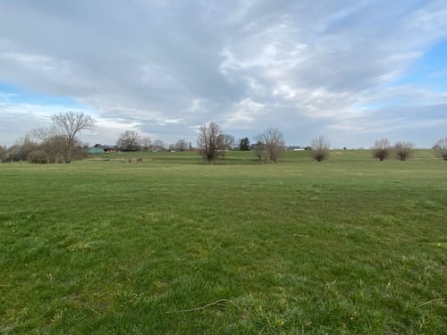 Baerler Busch ab Uettelsheimer See