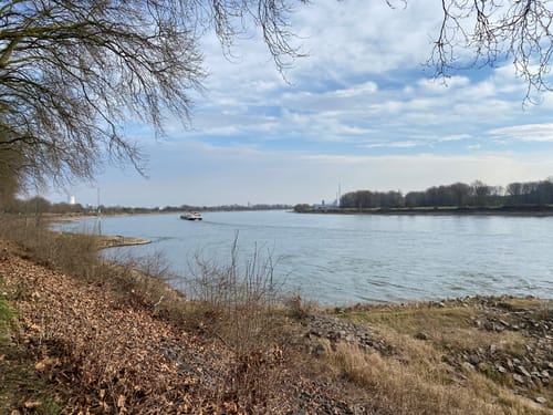 Baerler Busch ab Uettelsheimer See