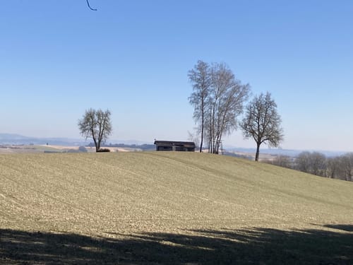 Geroling - Sprödhub - Thalham