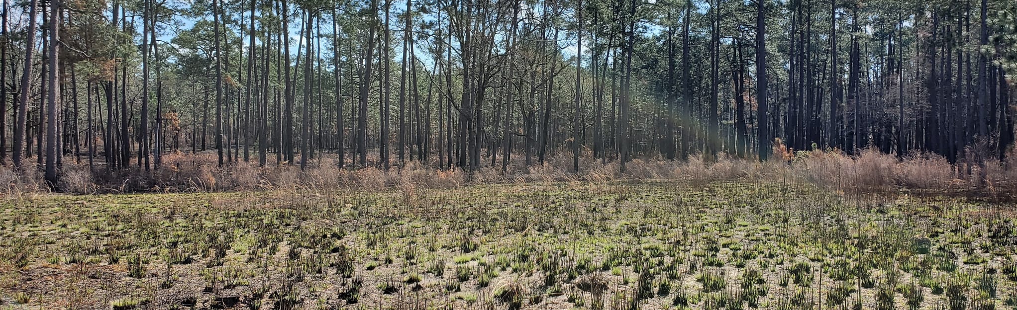 Tavia's Trail, 33 Reviews, Map AllTrails