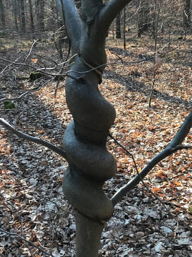 Rund um Trätzhof