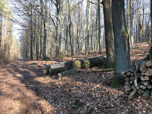 Rund um Trätzhof