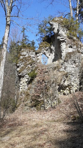 Albschäferweg Etappe 5: Schafhof Steinheim - Zang
