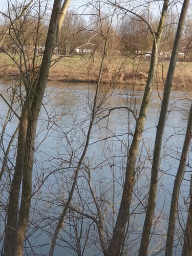 Helenensee - Stemmer See - Doktorsee