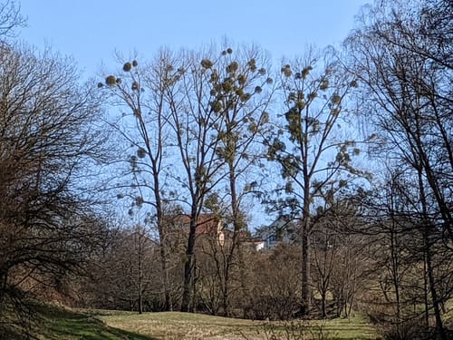 Oberafferbach nach Sternberg über Reichenbach