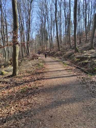 Rundwanderweg 3: Brunnen- und Quellen-Weg