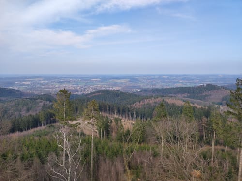 Varusturm - Bardenburg - Dörenberg