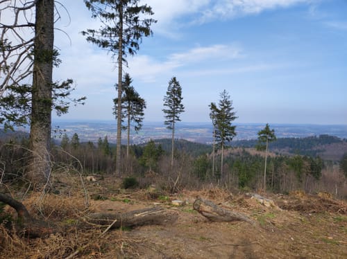 Varusturm - Bardenburg - Dörenberg