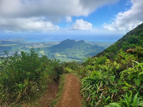 10 Best Trails and Hikes in Honolulu | AllTrails