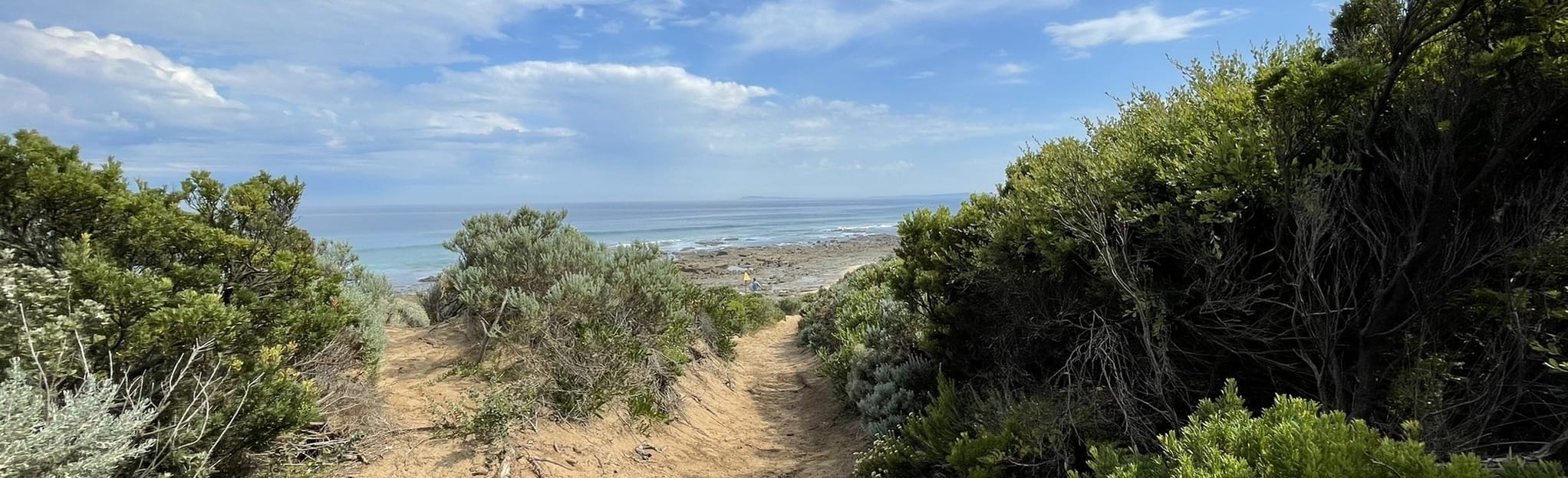 Wonthaggi Heathlands and Cutlers Beach Loop 53 foto's Victoria, Australië AllTrails