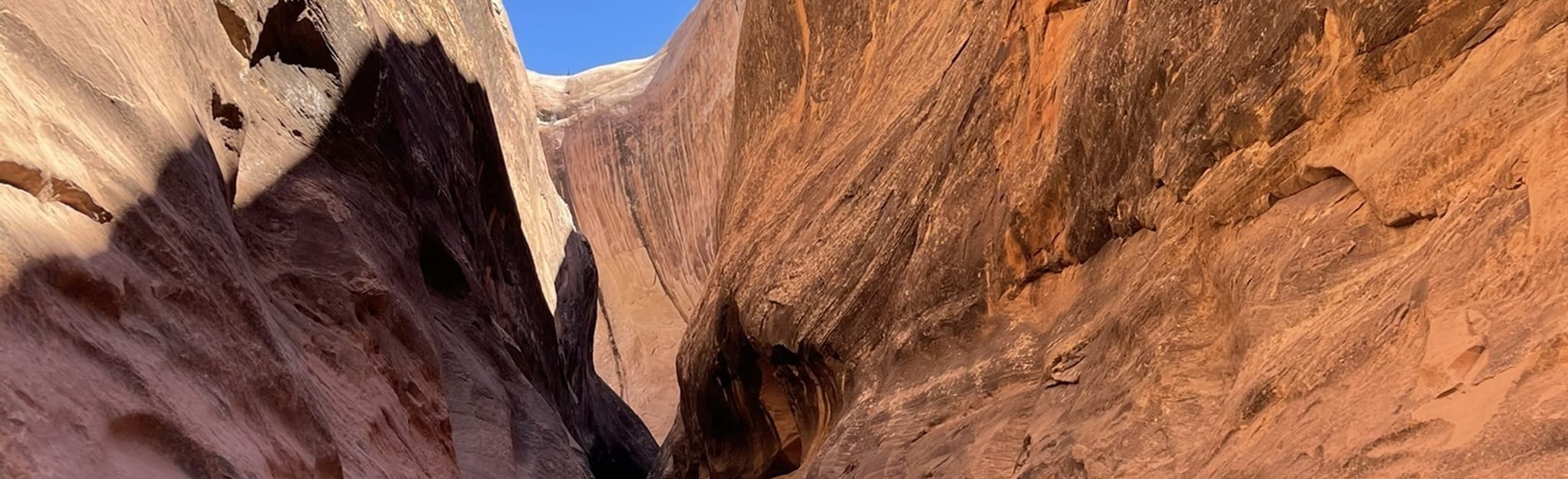 Halls Creek Canyon Trail 83 Reviews, Map Utah AllTrails