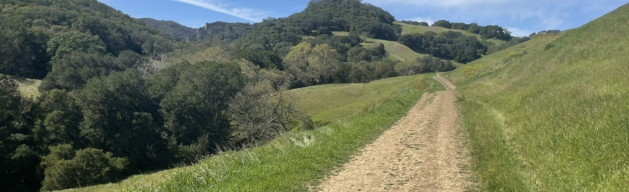 Tassajara Creek Loop via Old Finley Road 275 Reviews, Map California