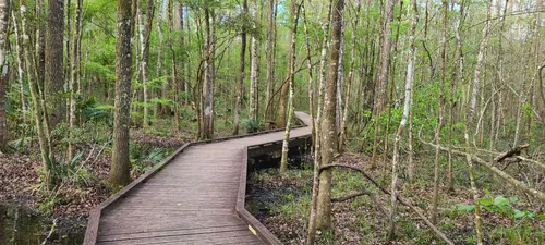 Edward Ball Wakulla Springs State Park