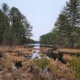 Quabbin Reservoir via Gate 40, Massachusetts - 204 Reviews, Map | AllTrails