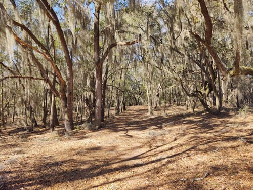 Best Hikes and Trails in Sandy Island Preserve | AllTrails