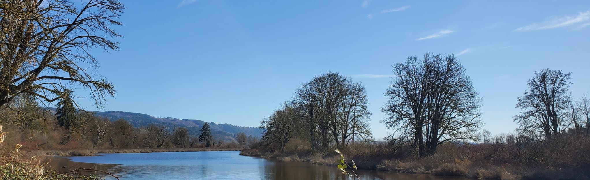 Crescent Lake Nature Trail 18 Reviews, Map Washington AllTrails