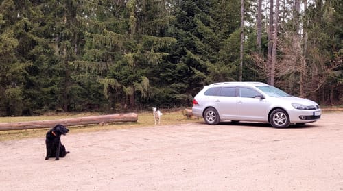 Runde im Haldenwald