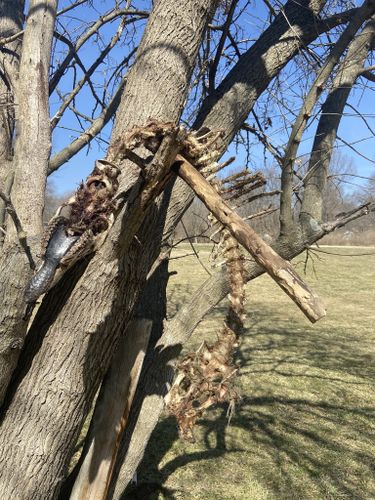 Best Hikes and Trails in Buckeye Greenway AllTrails