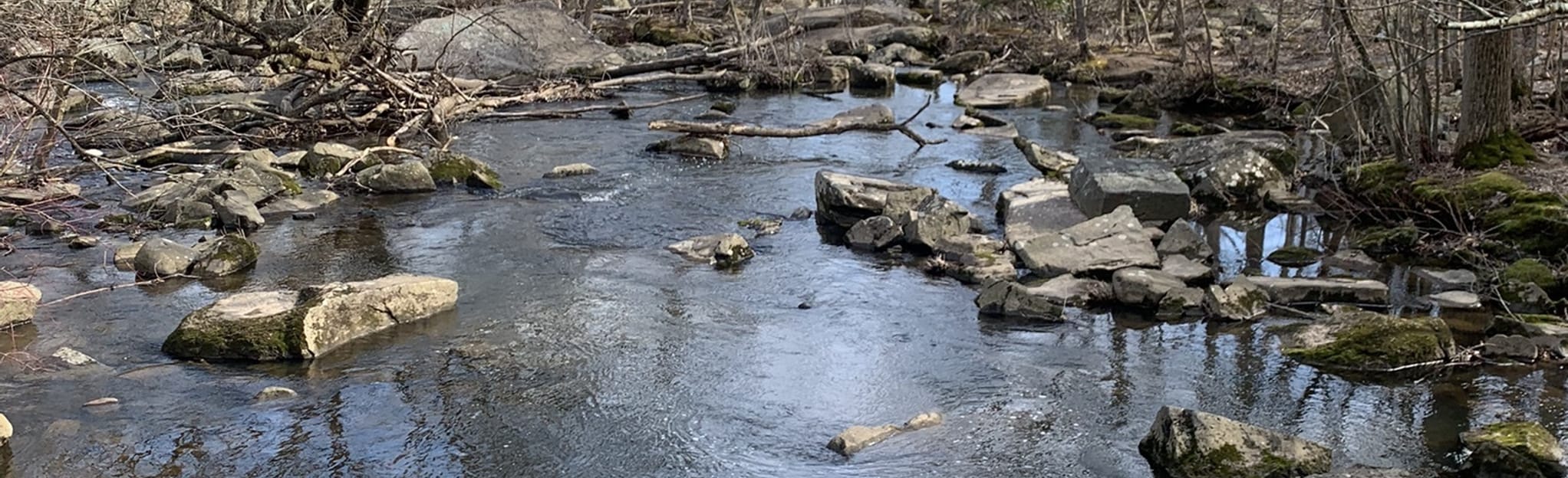 St. Peter's Village The Rocks Trail, Pennsylvania 192 Reviews, Map