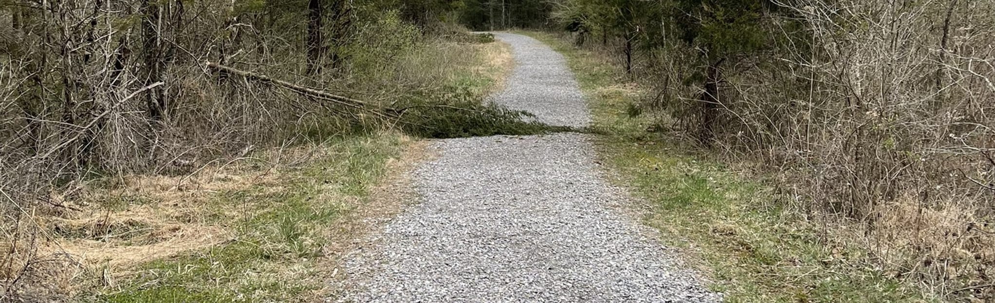 Worthington Cemetery Trail 12 Reviews, Map Tennessee AllTrails