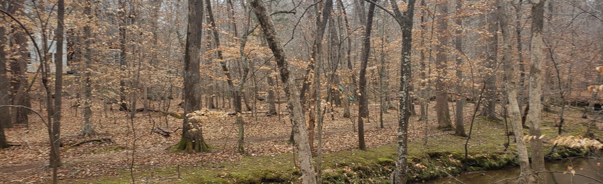 Wilson Park to Carolina North Forest Via Owasa Corridor Loop 182