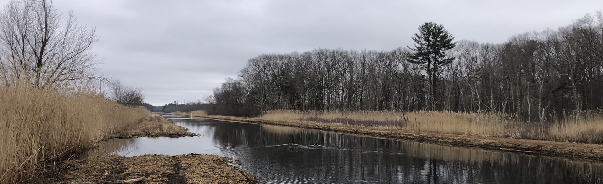 Grand Wenham Canal Path (Salem-Beverly Canal), Massachusetts - 46 ...