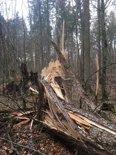 W 57 Schwaighausen - Duggendorf