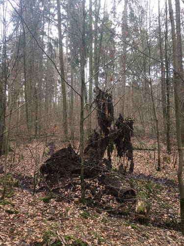 W 57 Schwaighausen - Duggendorf