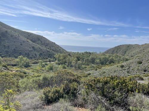 Point Mugu State Park Hiking Best 10 Trails In Point Mugu State Park | Alltrails