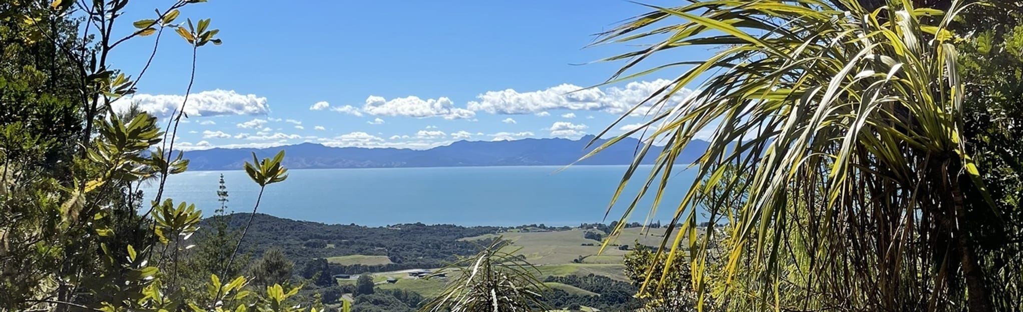 Mangatangi Reservoir Carpark to Waharau via Workman Track [CLOSED]: 1 ...